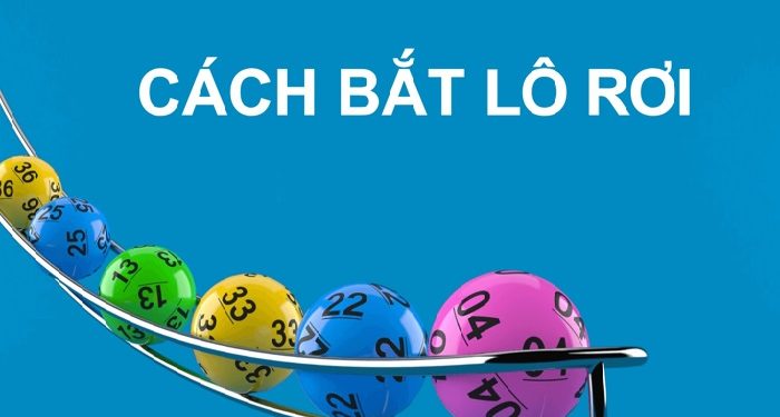 Các cách bắt lô rơi cực chuẩn xác và hiệu quả